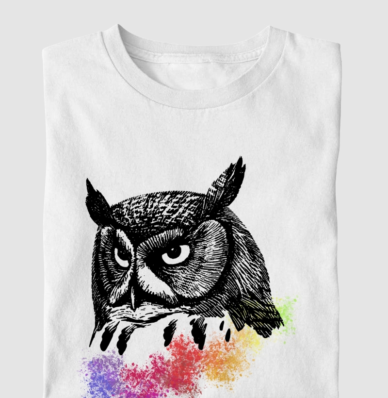 Coruja Essencial Colorida