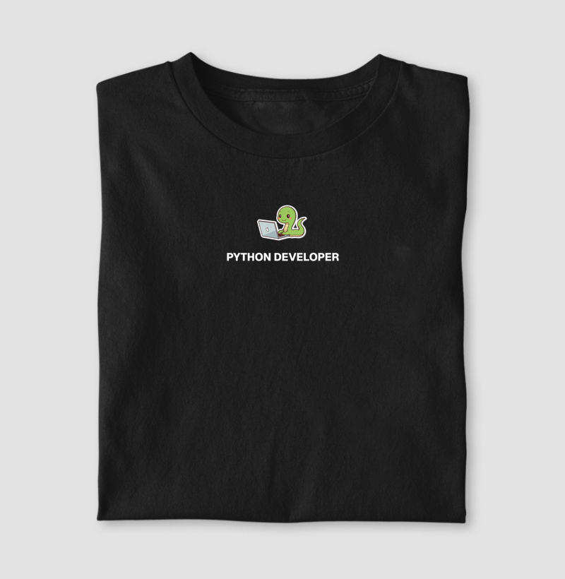 Python developer