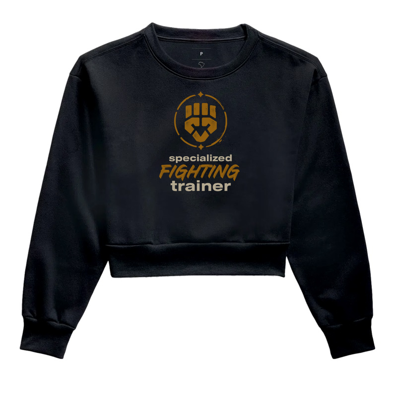 Fighting Trainer