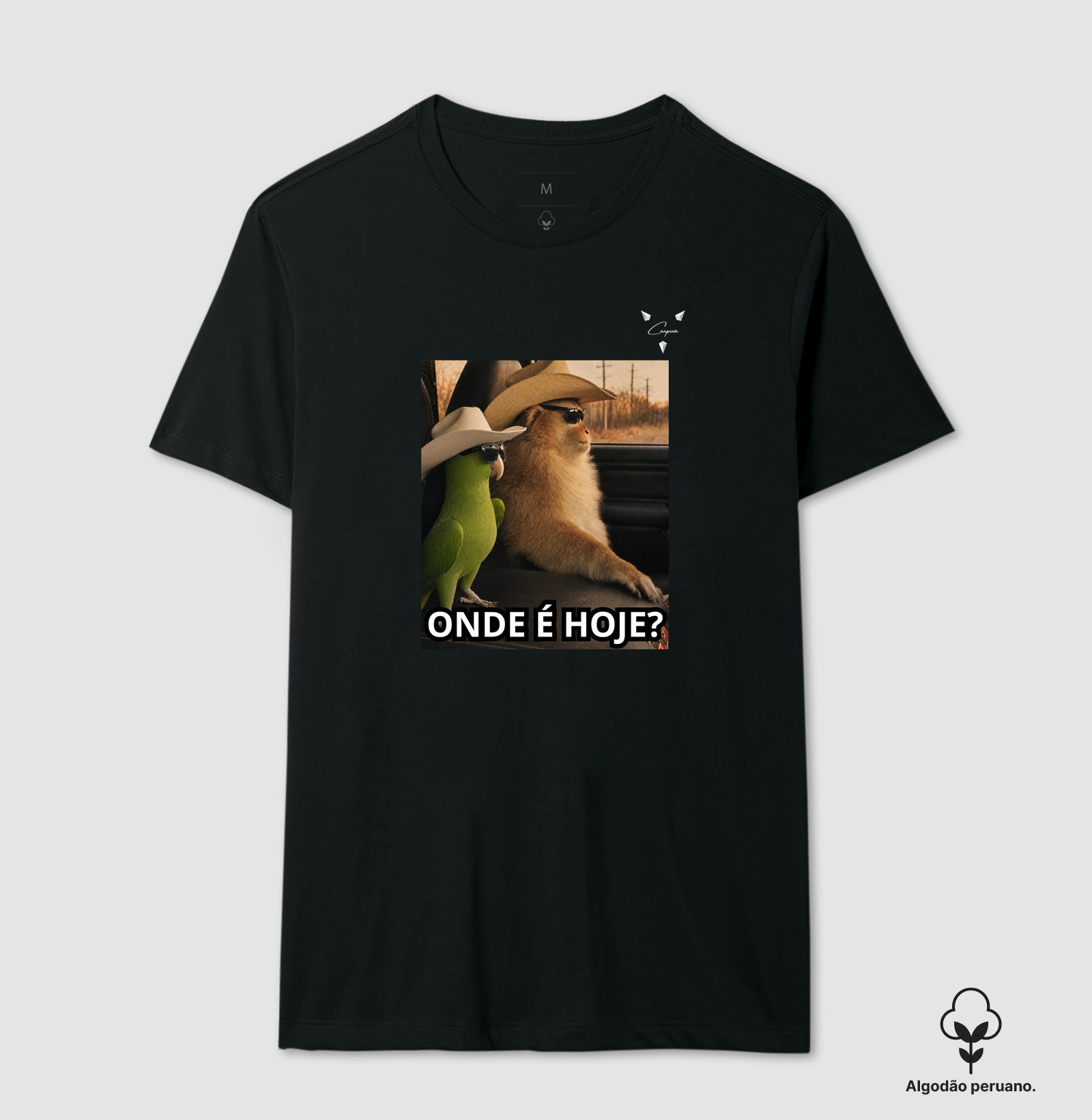 "Onde e hoje?" - Linha Premium