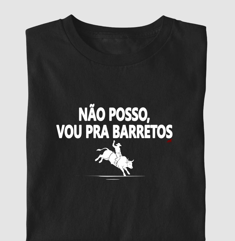 Vou pra Barretos II