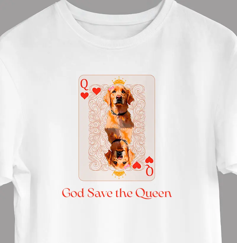 Golden Retriever | Rainha de Copas