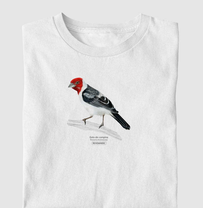 Aves do Brasil - Galo-de-campina - Infantil