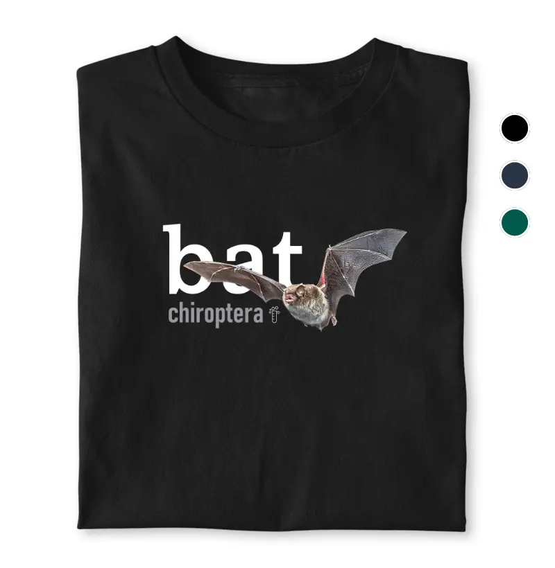 Bat