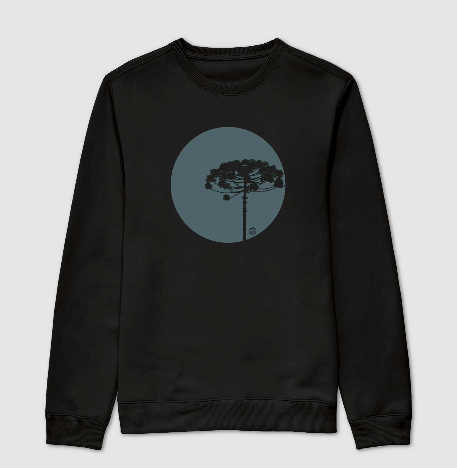 Araucaria Solitária