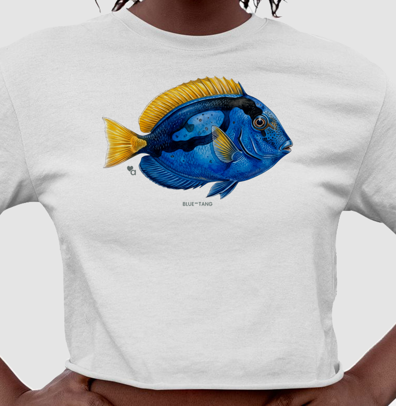 Peixes - Blue Tang - Cropped