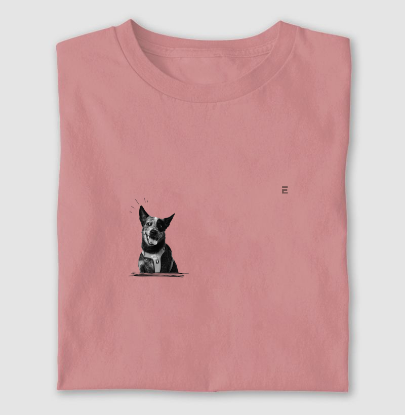 Blue Heeler