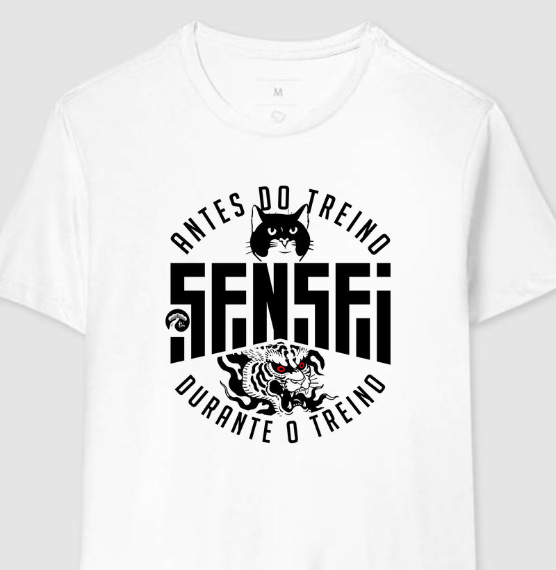 Sensei antes e durante o treino