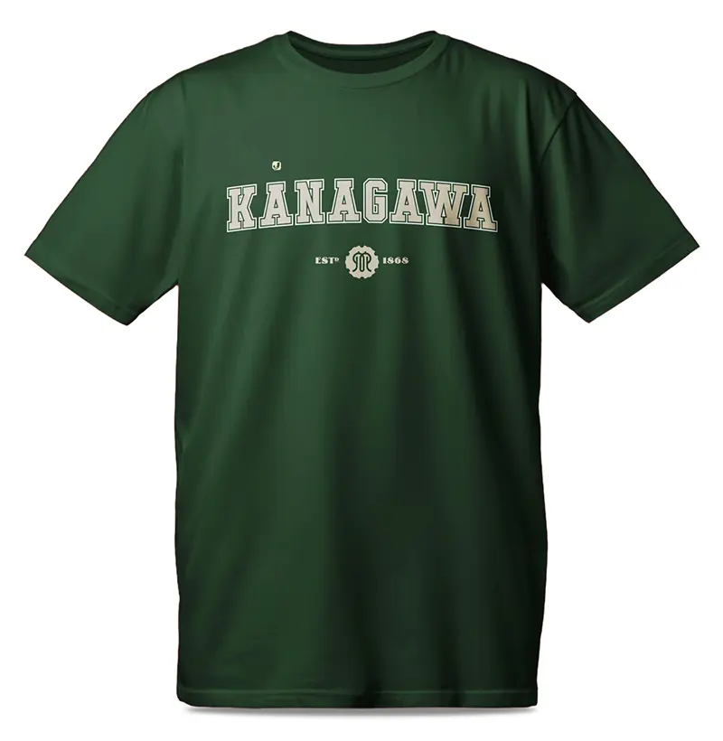 Província de Kanagawa