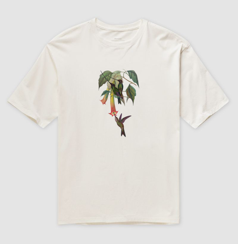 Beija-flor-bico-de-espada