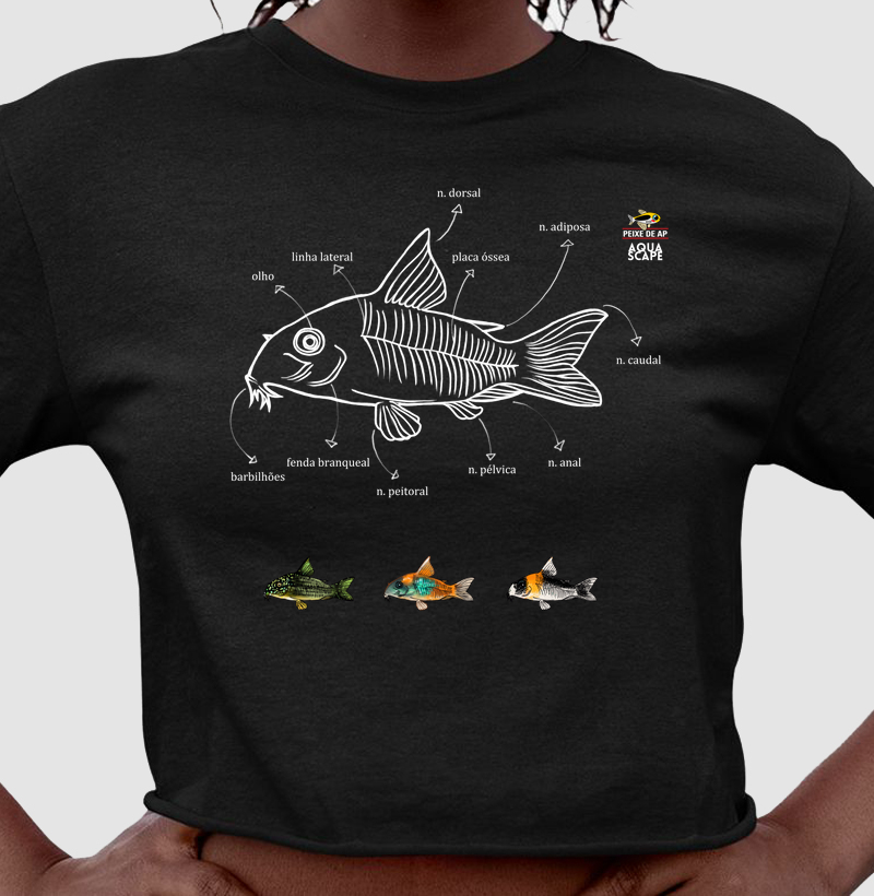 Corydoras sp. - Cropped