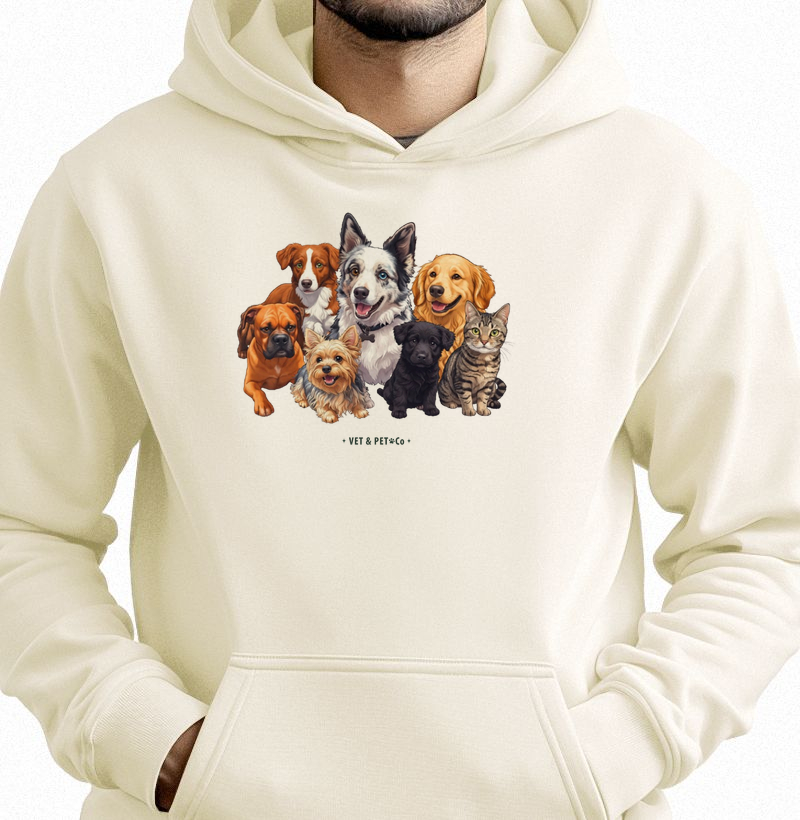 Cachorros e gato