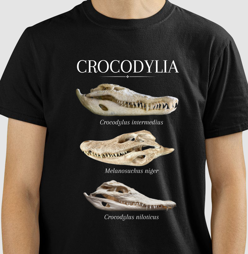 Crocodylia