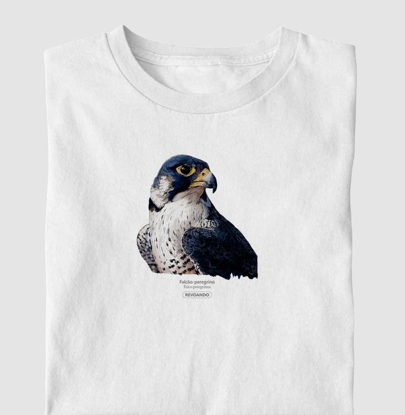Rapinas Inky - Falcão-peregrino
