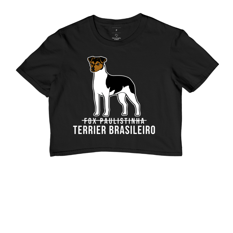 Não é Fox Paulistinha, é Terrier Brasileiro.