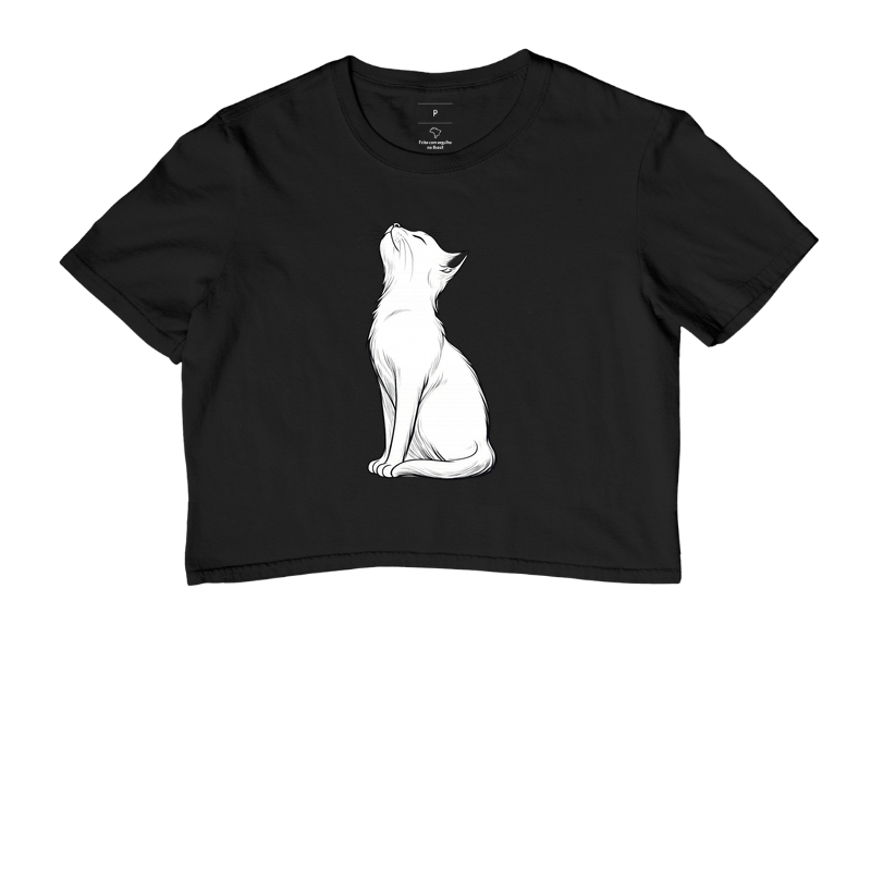 Gato branco