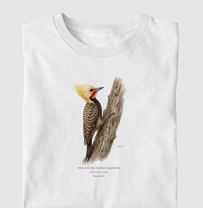 Naturalistas - Pica-pau-de-cabeça-amarela
