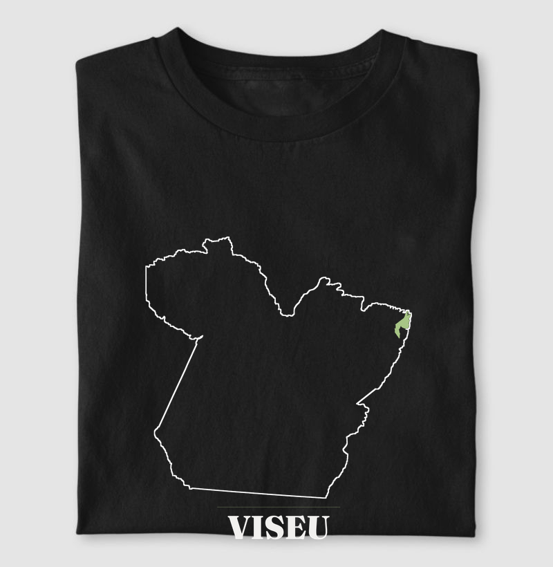 Viseu | Traço PA