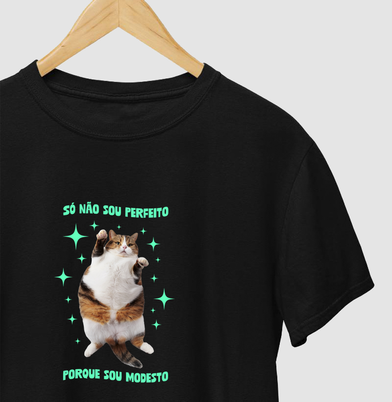 Só não sou perfeito porque sou Modesto