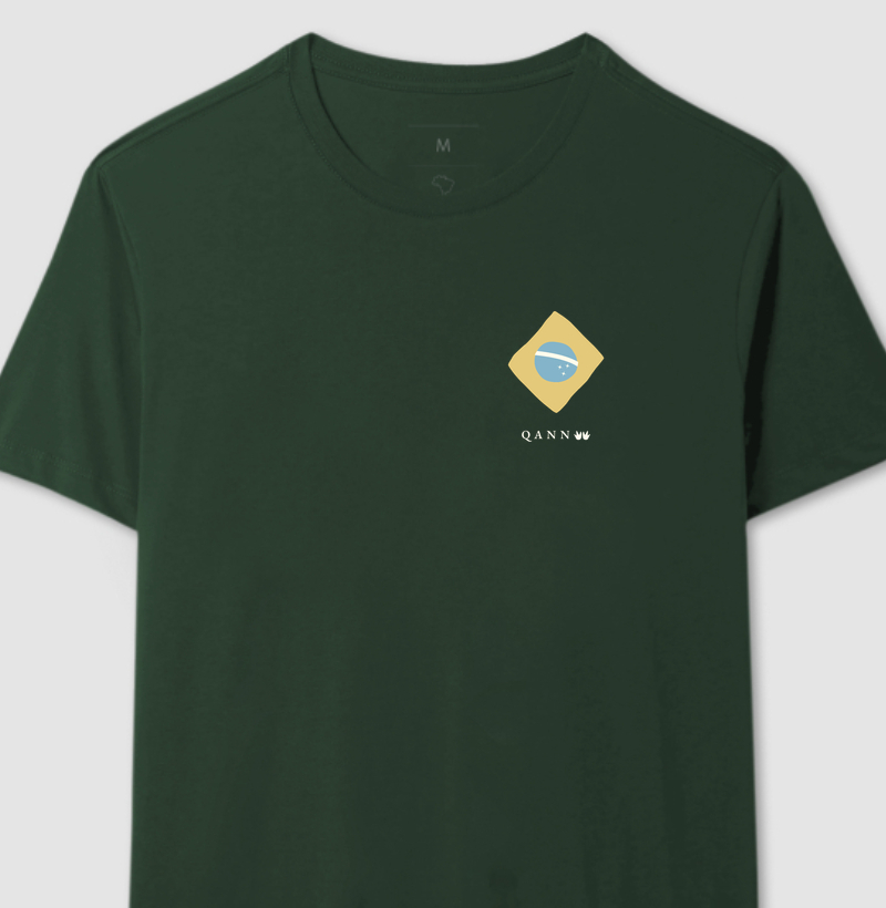 Bandeira do Brasil — Adulto