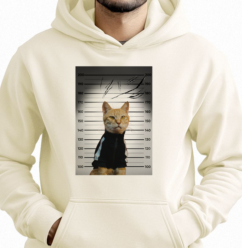 SUSPEITO DE ARRANHAR SOFÁ