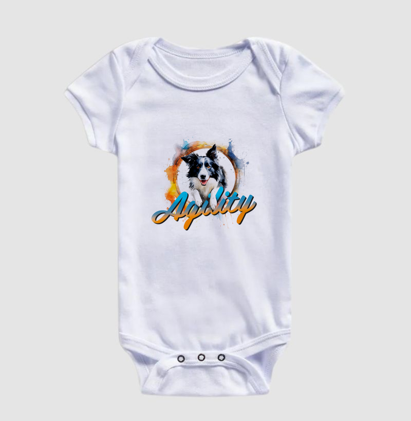 Border Collie Agility