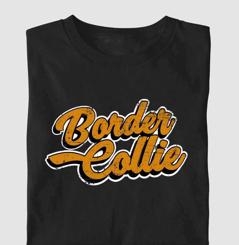 Border Collie Laranja