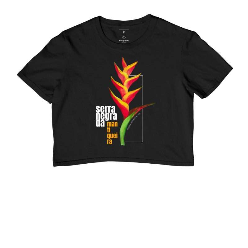 Vriesea heterostachys