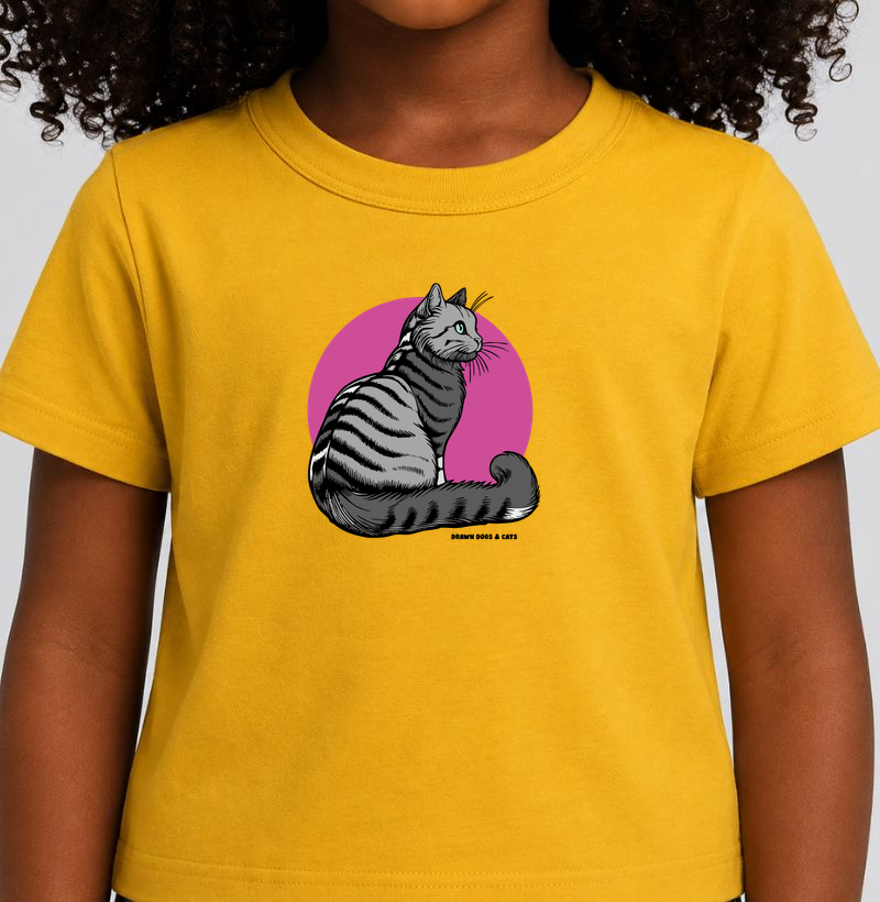 Gato cinza e fundo rosa