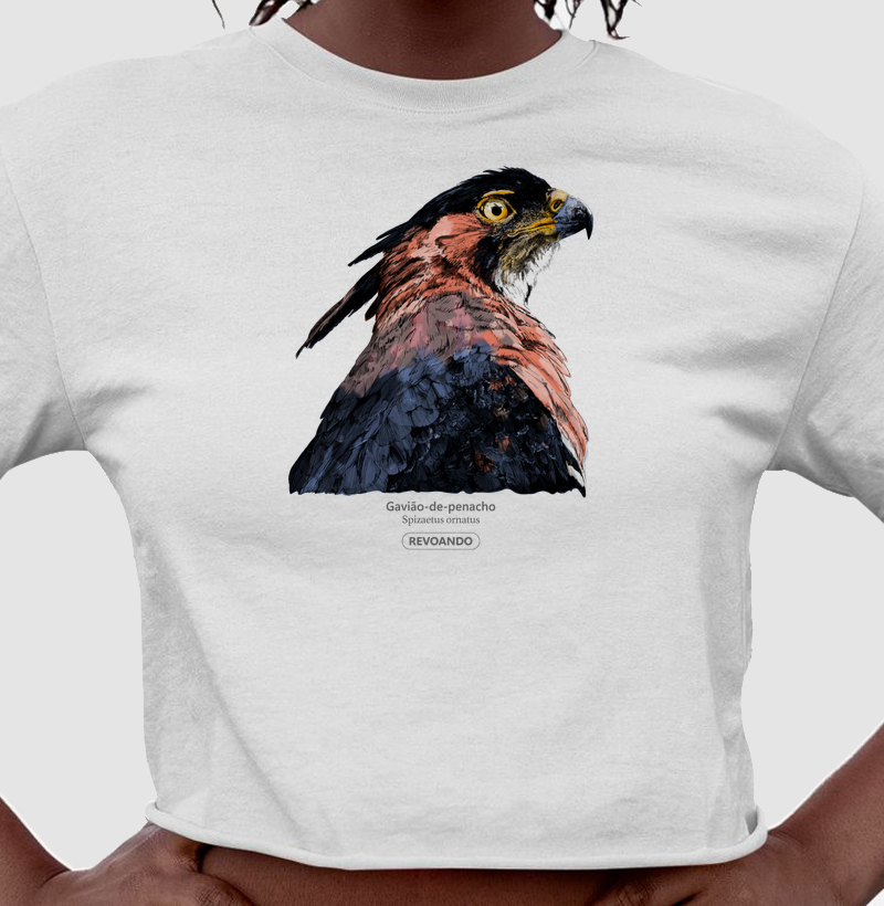 Rapinas Inky - Gavião-de-penacho - Cropped