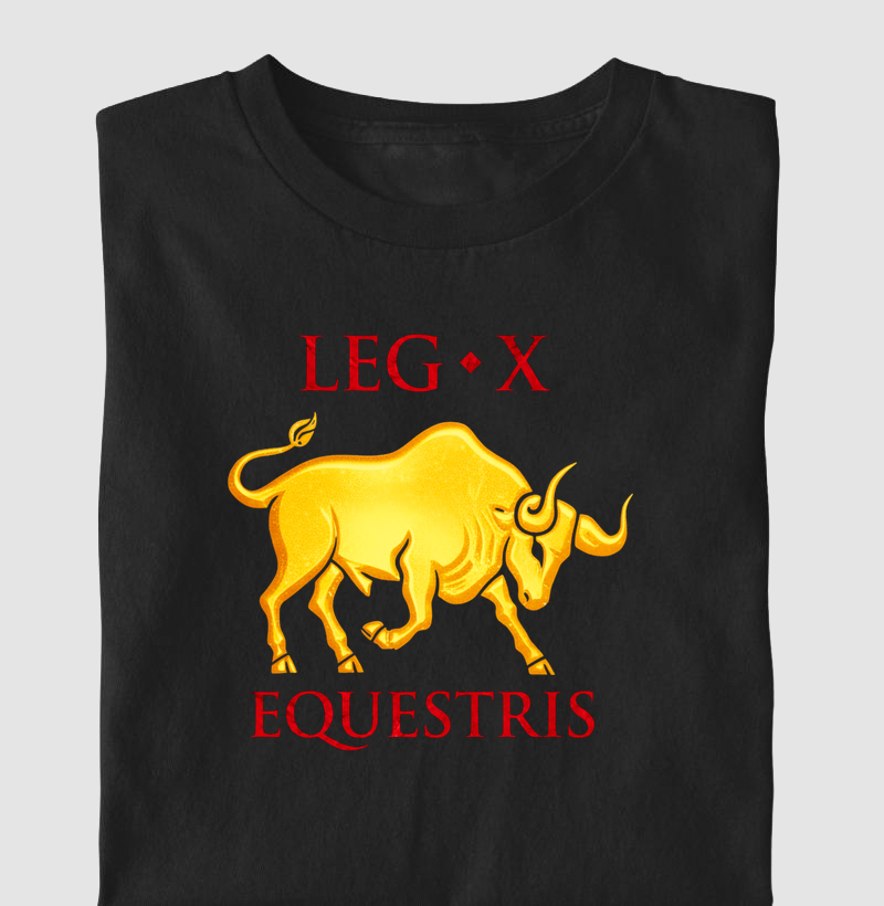 LEGIO — X Equestris