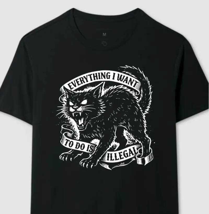 Everything is illegal 