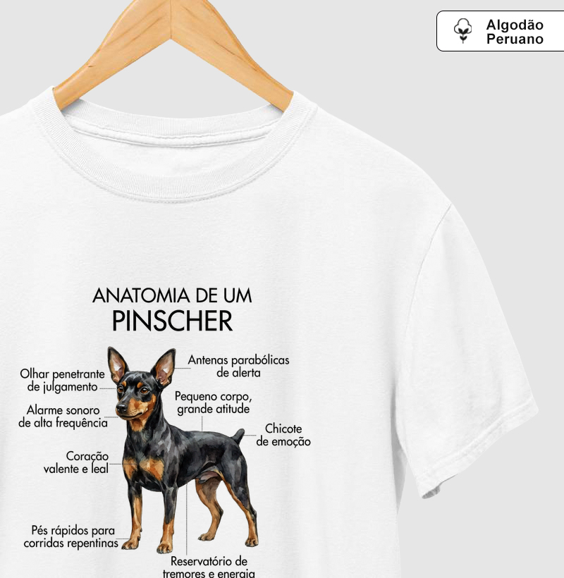 Anatomia Pinscher