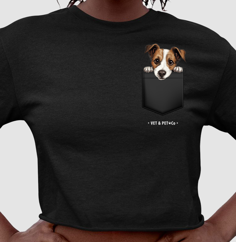 Cachorro de bolso (Jack Russell Terrier)