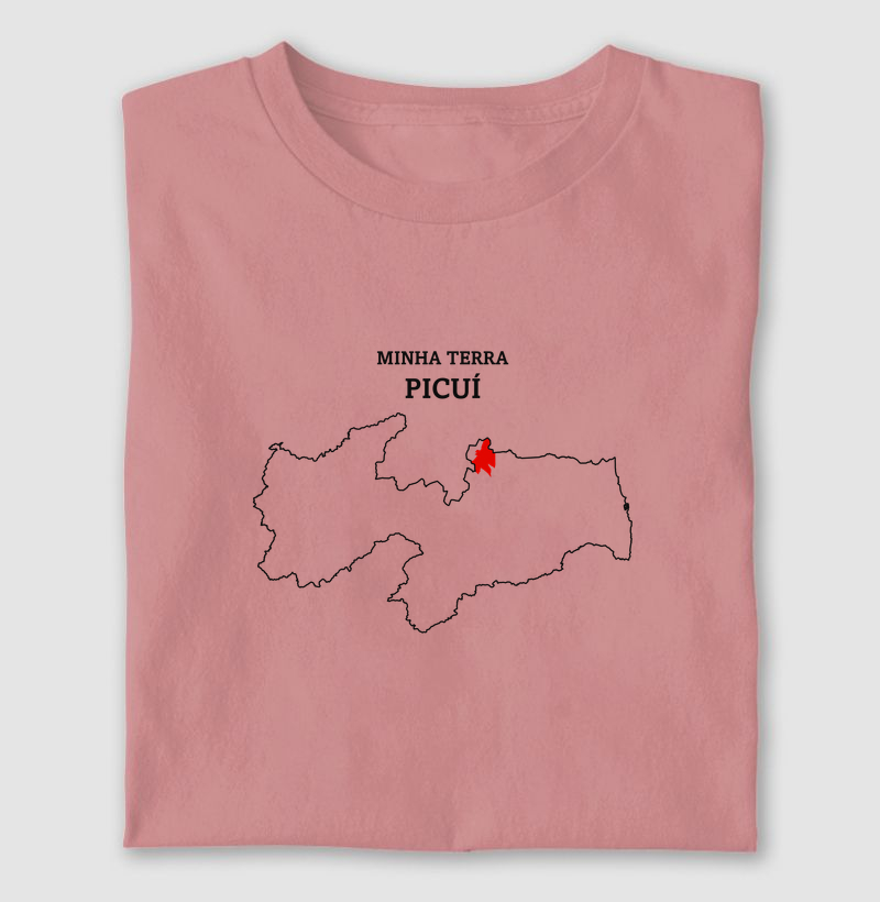 Picuí (PB) | Minha Terra