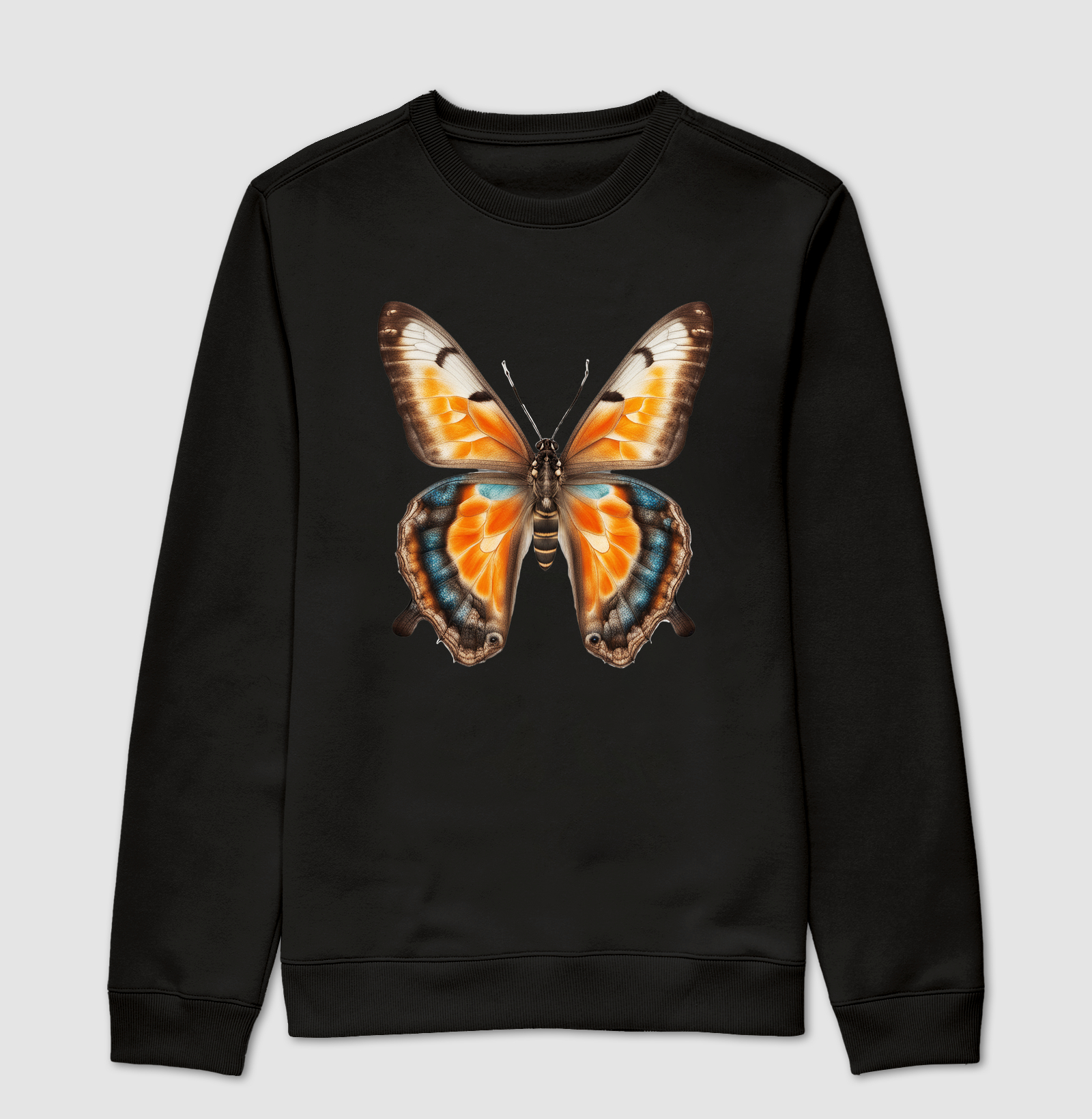 Borboleta ‘Transformação’ 