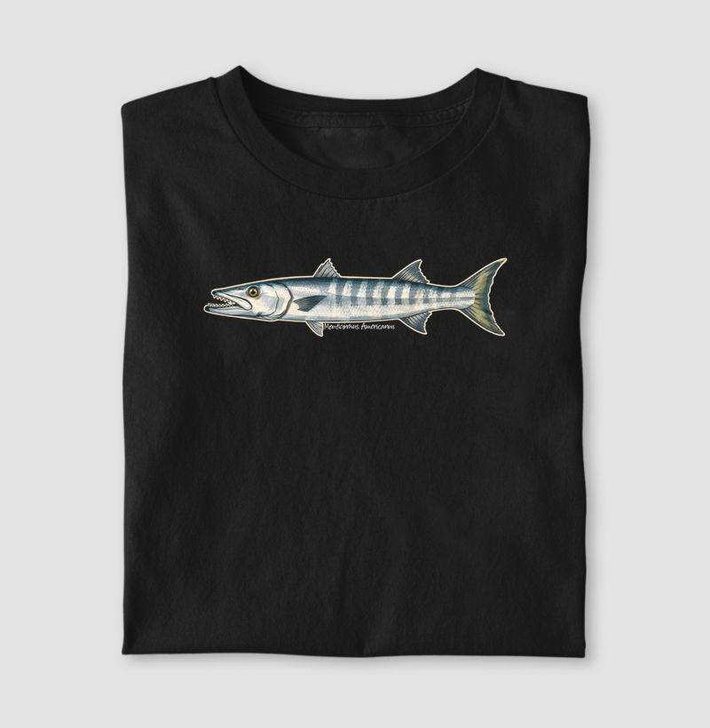 Barracuda