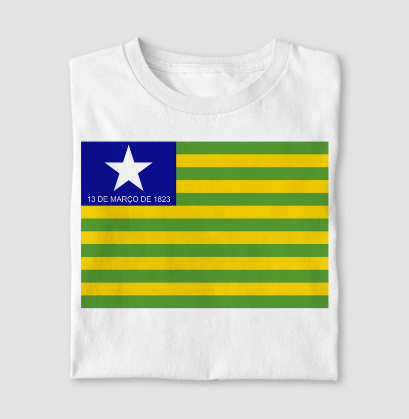 Piauí | Bandeira