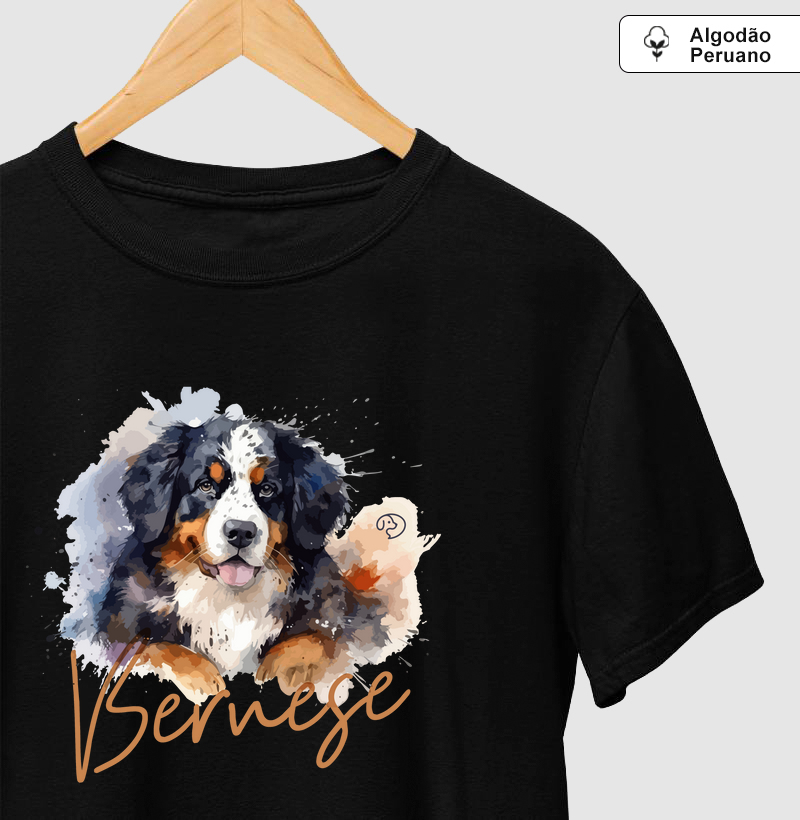 Bernese Splash 2