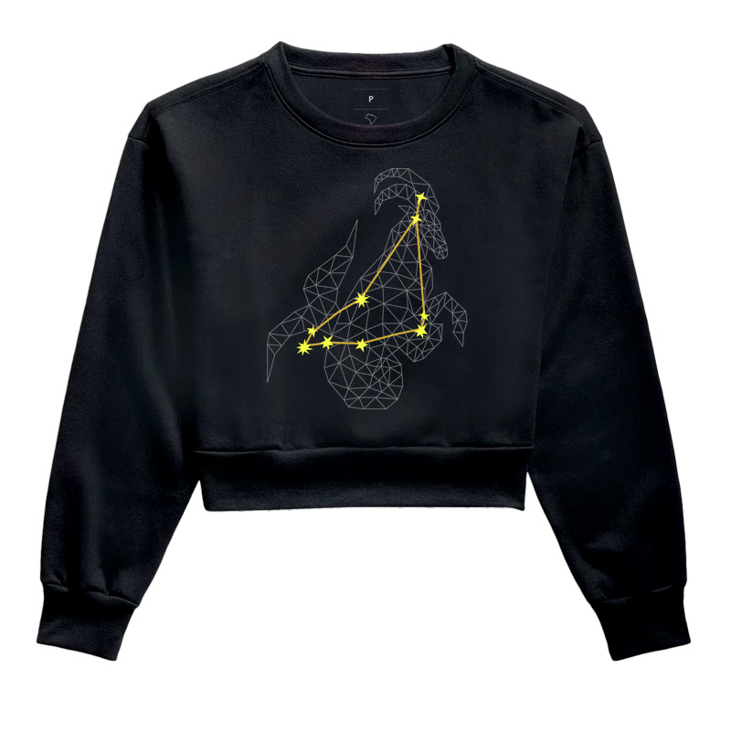 Capricórnio Estrelas
