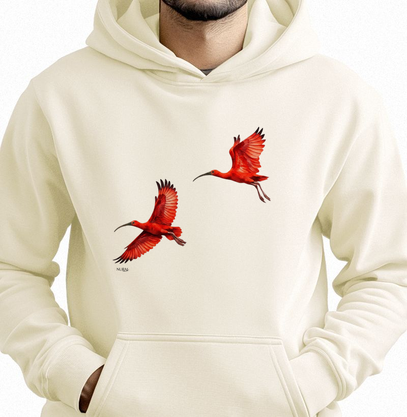 Sinfonia dos Guarás