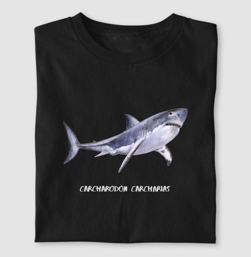 Carcharodon carcharias