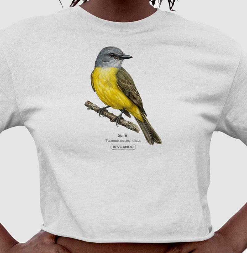 Traços Alados - Suiriri - Cropped