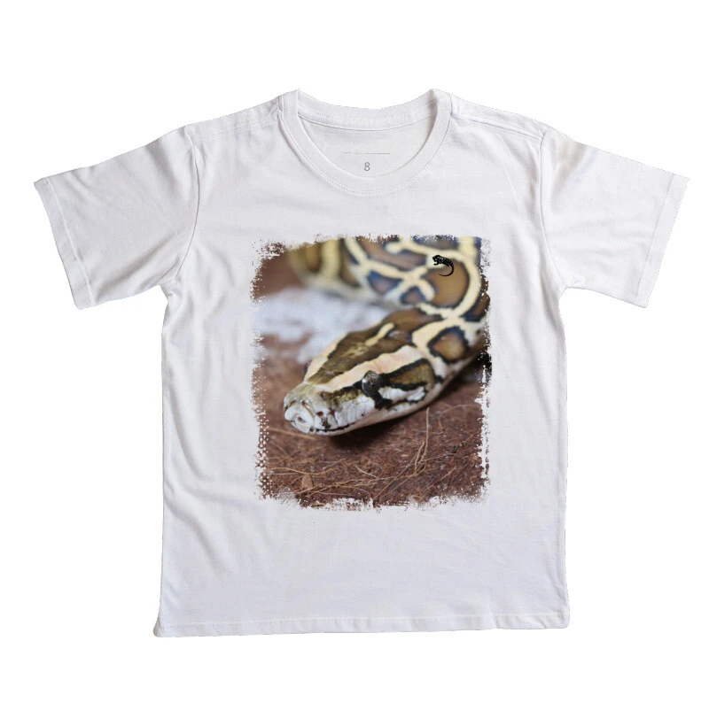 Python Molurus Mini