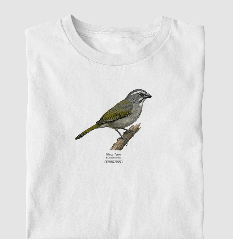 Traços Alados - Trinca-ferro