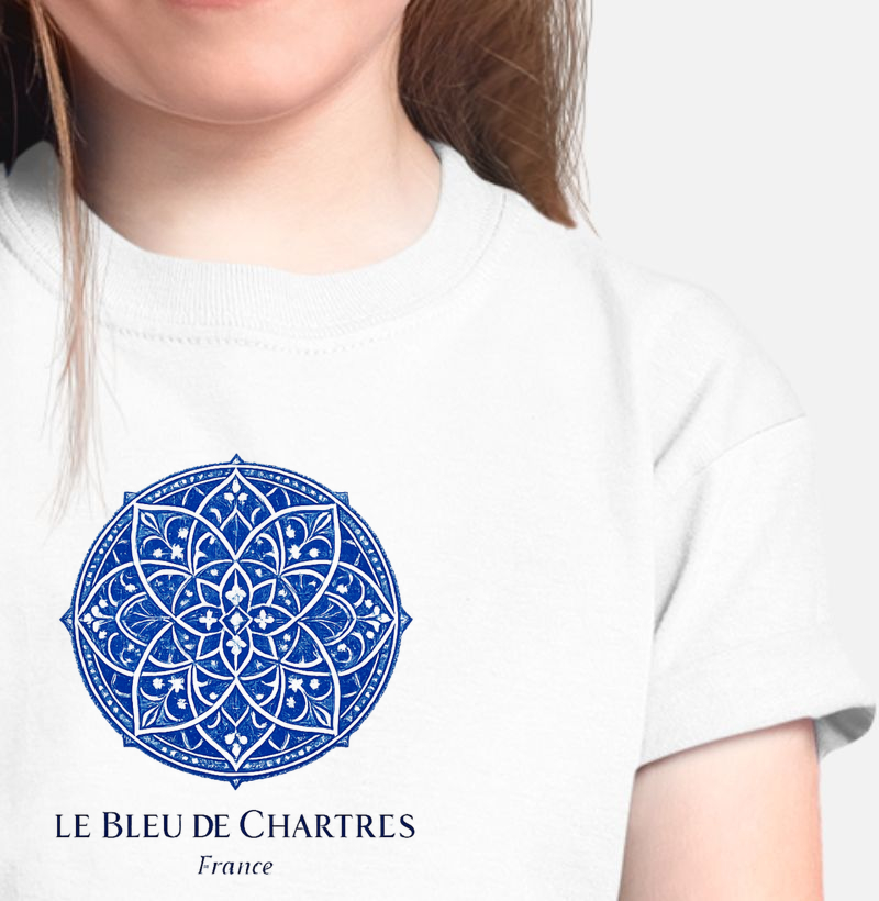 Vitrais de Chartre