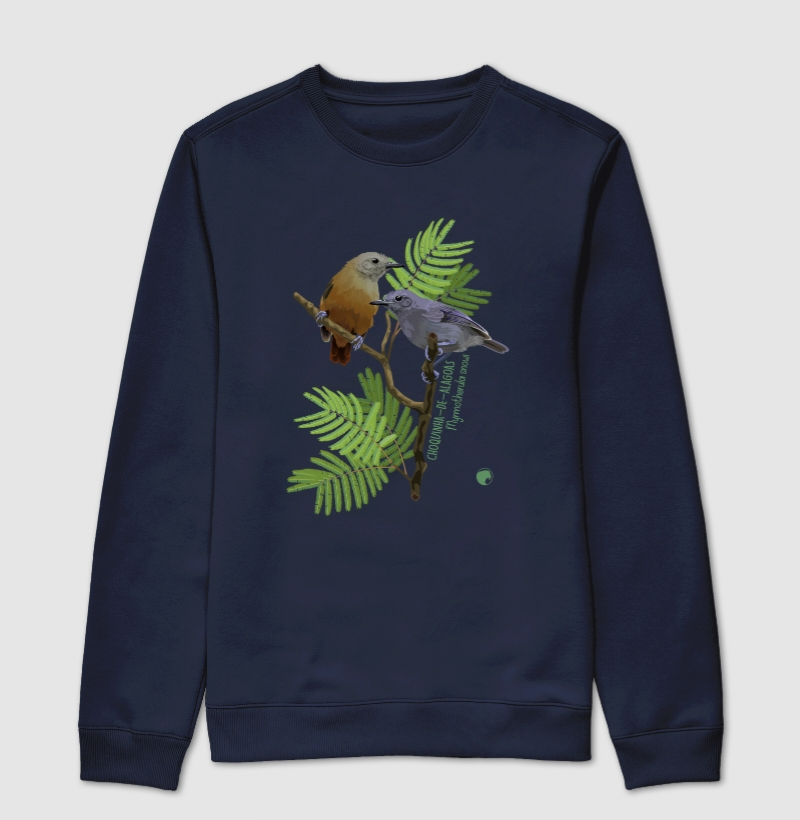 Choquinha-de-alagoas