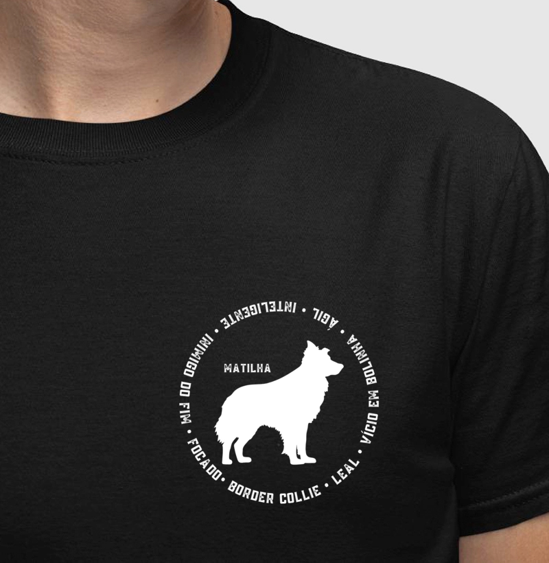 Border Collie amigo do peito