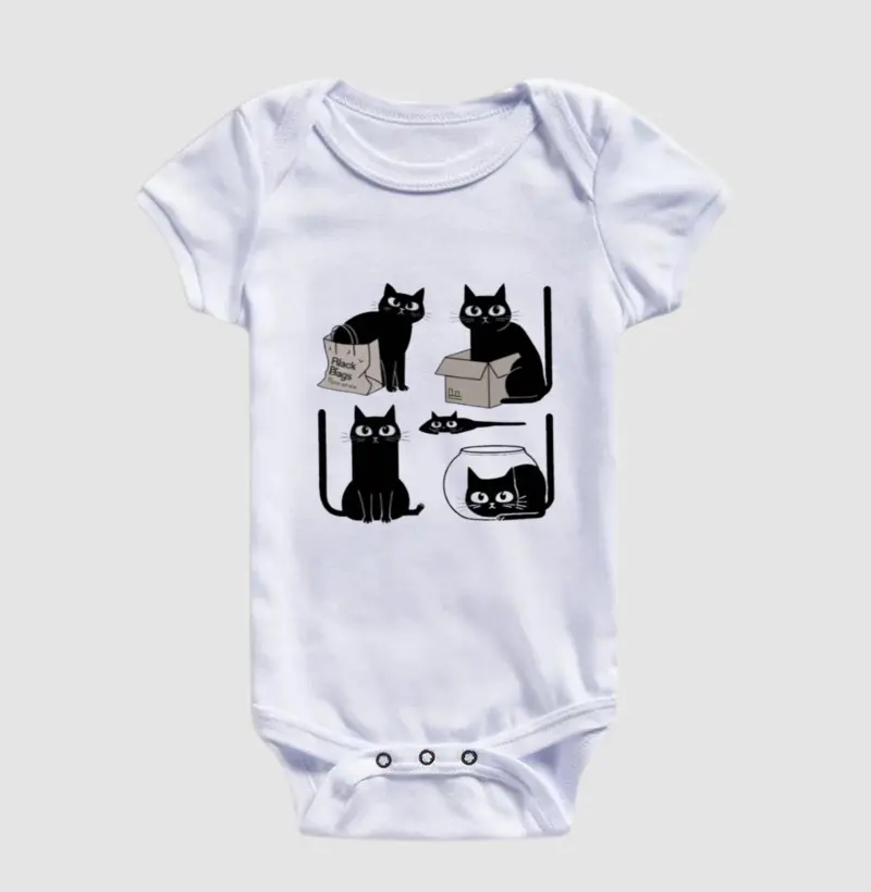 Gato cabe em todo lugar