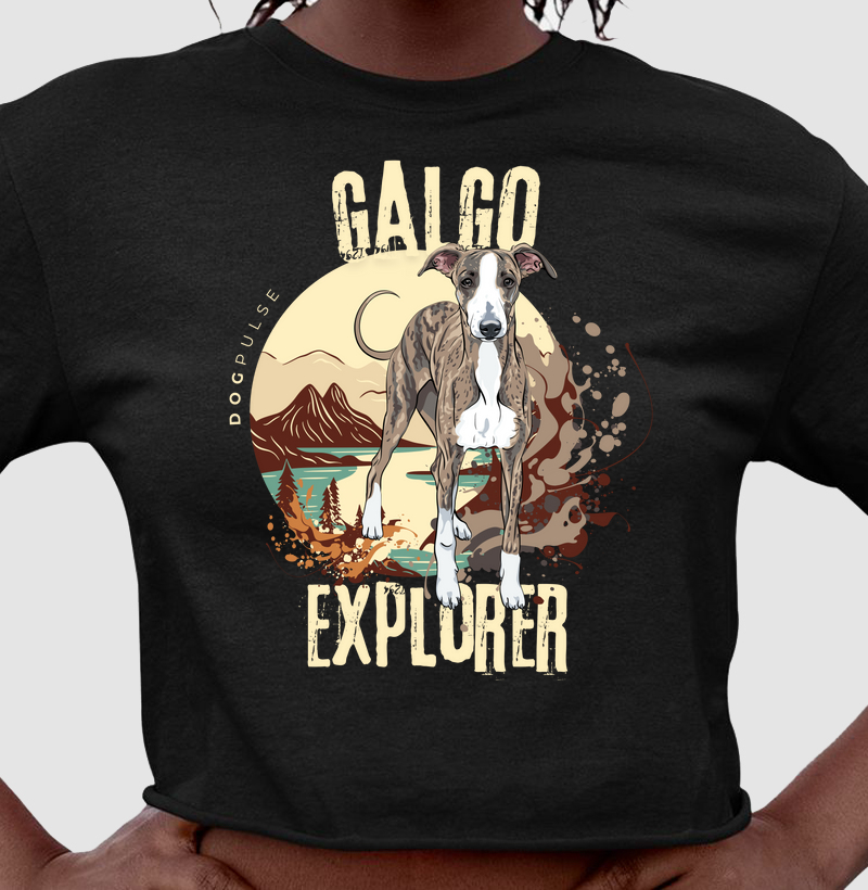 Cropped Dog Pulse Galgo Explorer – Speed of the Wind